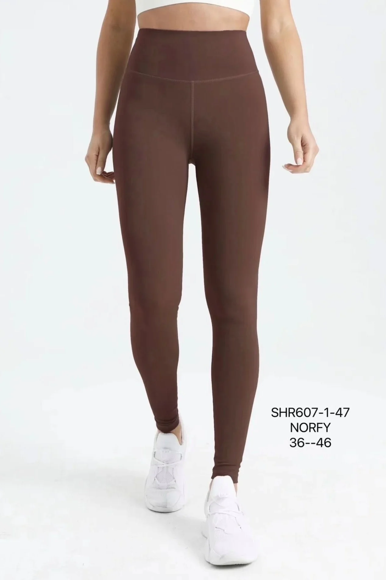 Norfy Sportlegging, Bruin.